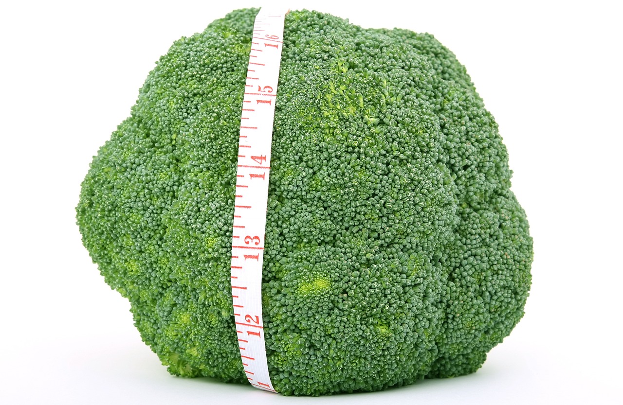 揭秘侧柏叶的神奇功效与全方位健康应用——自然界的绿色疗愈宝藏