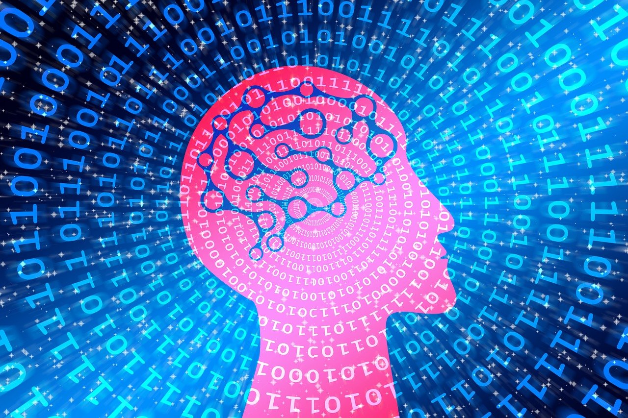 2024年的末日预言，僵尸还是科学猜想？——探讨僵尸现象的科学与未来展望