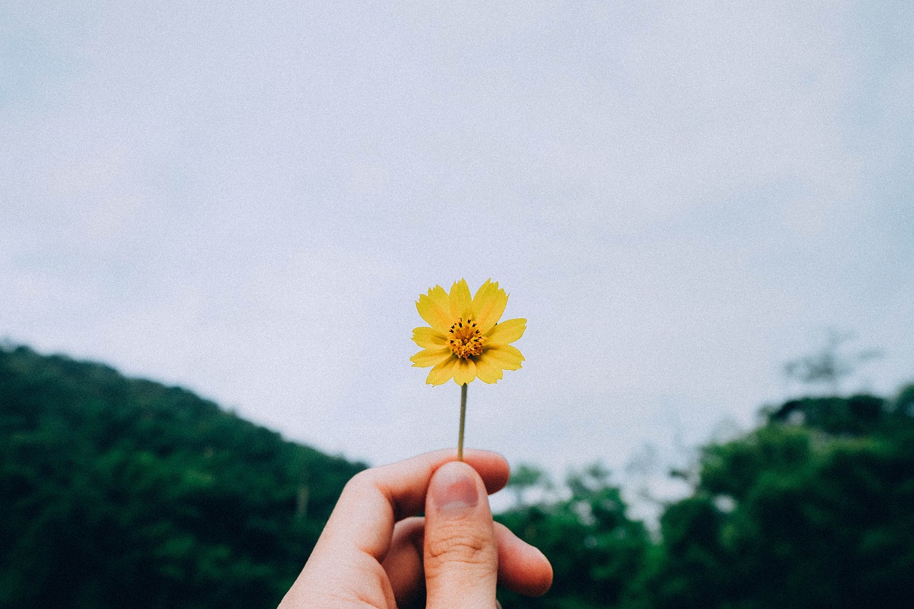 绿色生活，从我做起，我的低碳生活经验分享