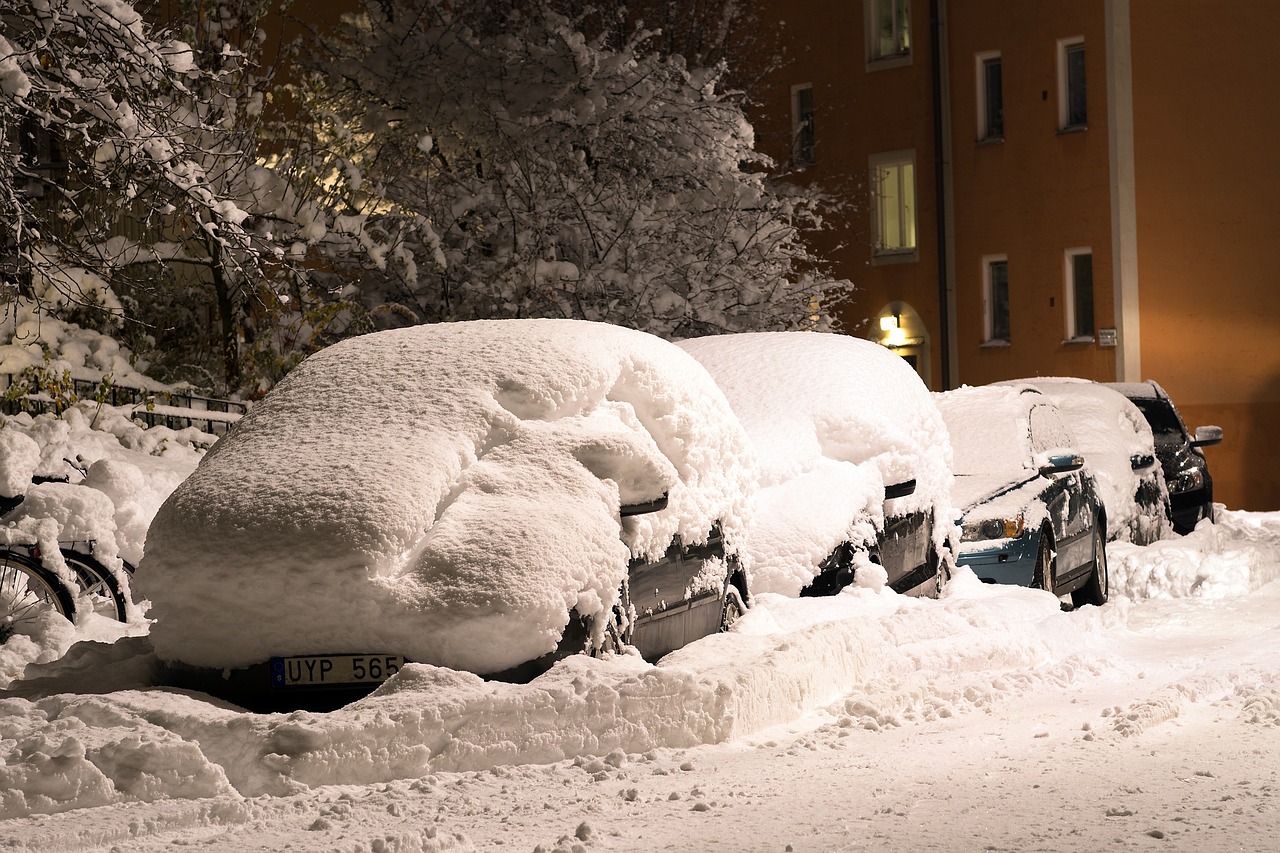 寒假奇遇，冰雪世界的欢笑与挑战